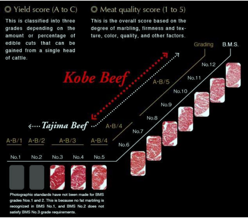 Wagyu Beef - Trinkete BordaTrinkete Borda